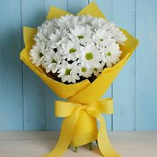 Букет цветов из:  Хризантемы в Архангельском Тульской области