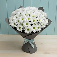 Букет цветов из:  Хризантемы #REPLACE_PRED# Архангельском Тульской области