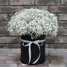Цветочная композиция из Гипсофила в шляпной коробке в Архангельском Тульской области
