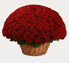 Премиум букет из: Розы в Архангельском Тульской области